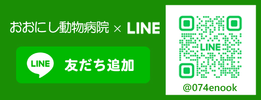 LINE 友だち追加